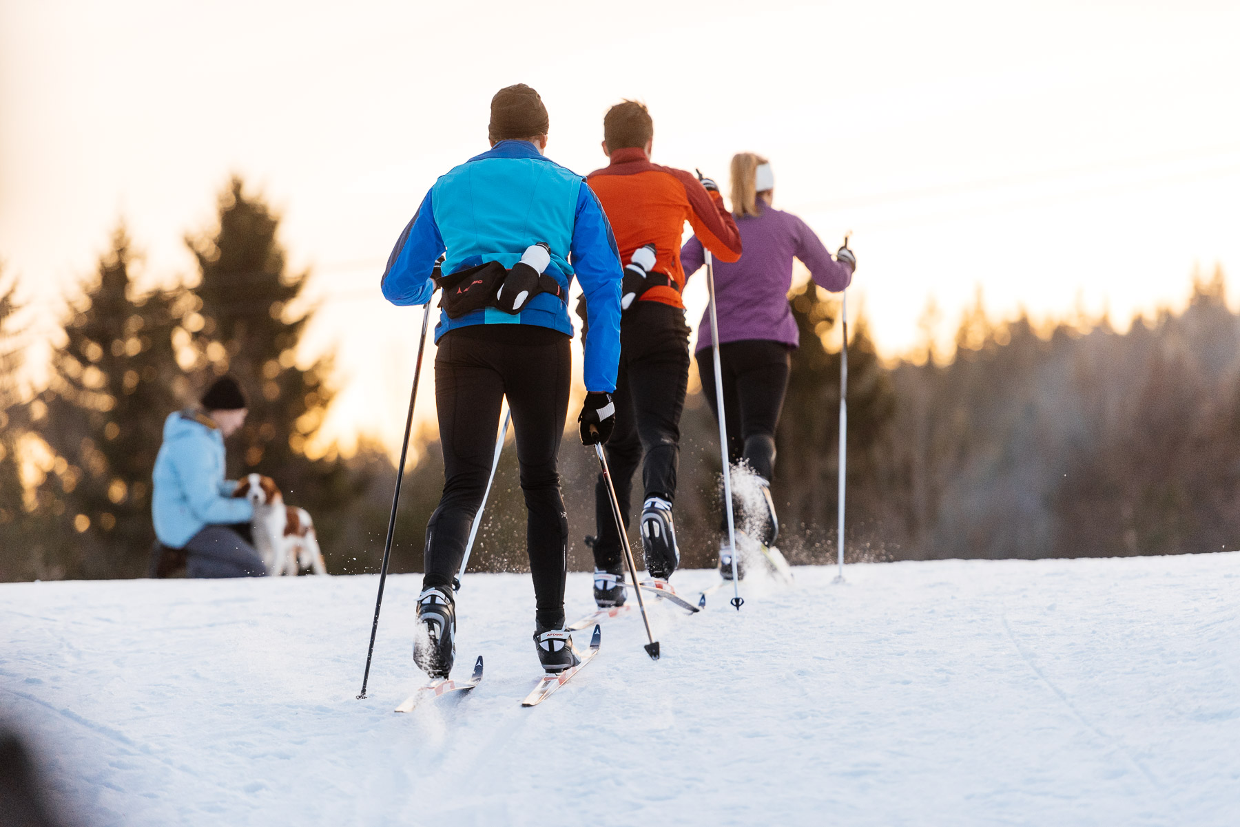 Cross Country Skiers